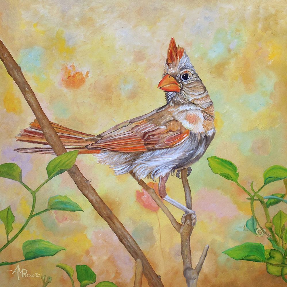 Female Cardinal Portrait art print by Angeles M. Pomata for $57.95 CAD