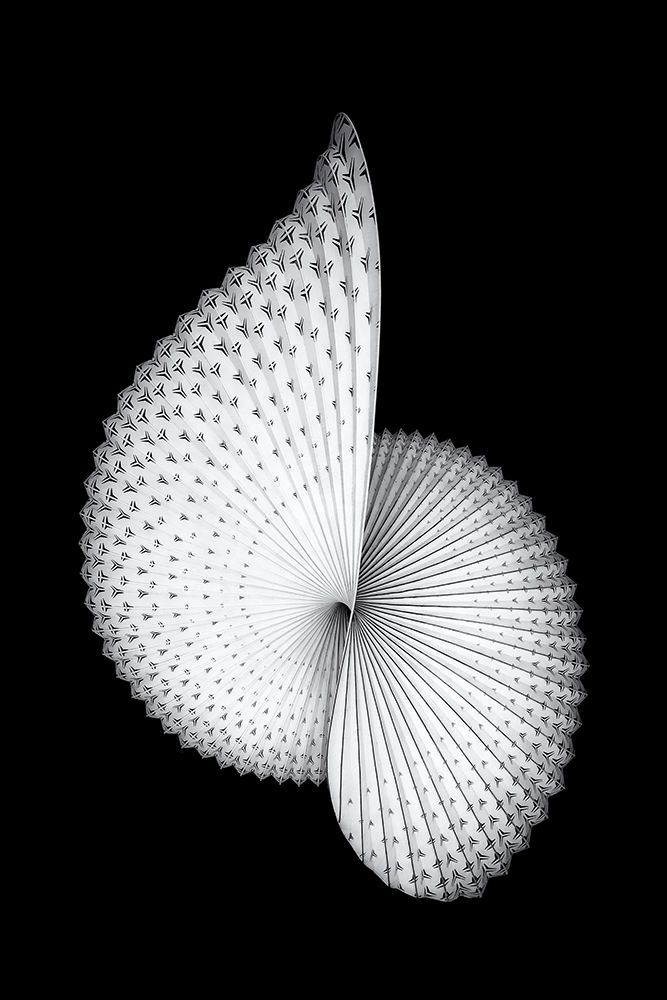Nautilus-Like Sculpture art print by Mei Xu for $57.95 CAD