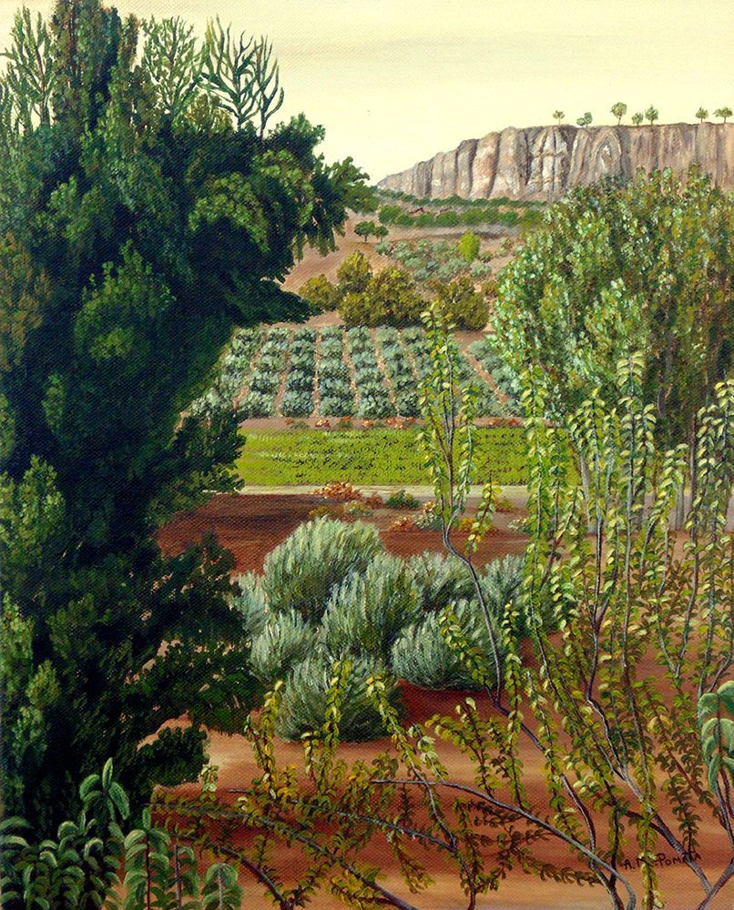 High Mountain Olive Trees art print by Angeles M. Pomata for $57.95 CAD