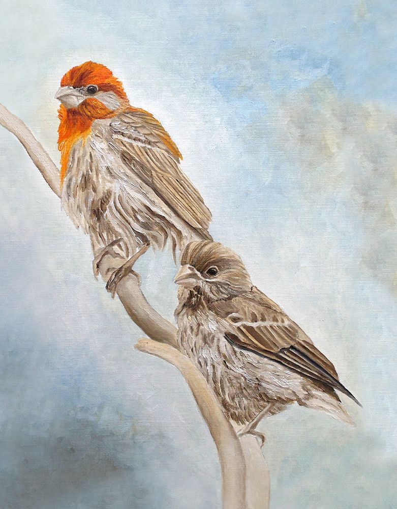 House Finch Couple art print by Angeles M. Pomata for $57.95 CAD