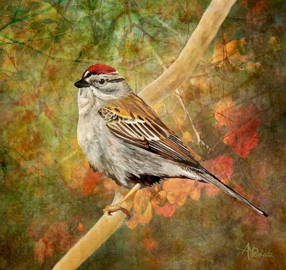 Immersed In the Forest art print by Angeles M. Pomata for $57.95 CAD