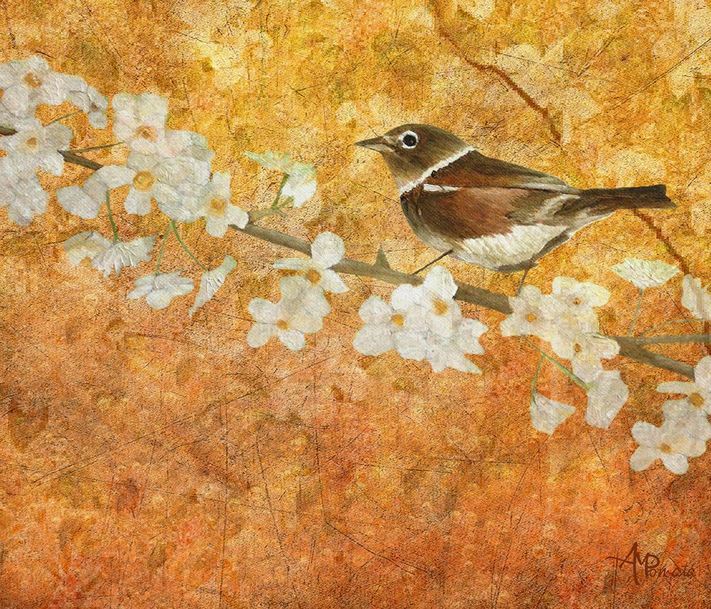 Nightingales Solstice art print by Angeles M. Pomata for $57.95 CAD