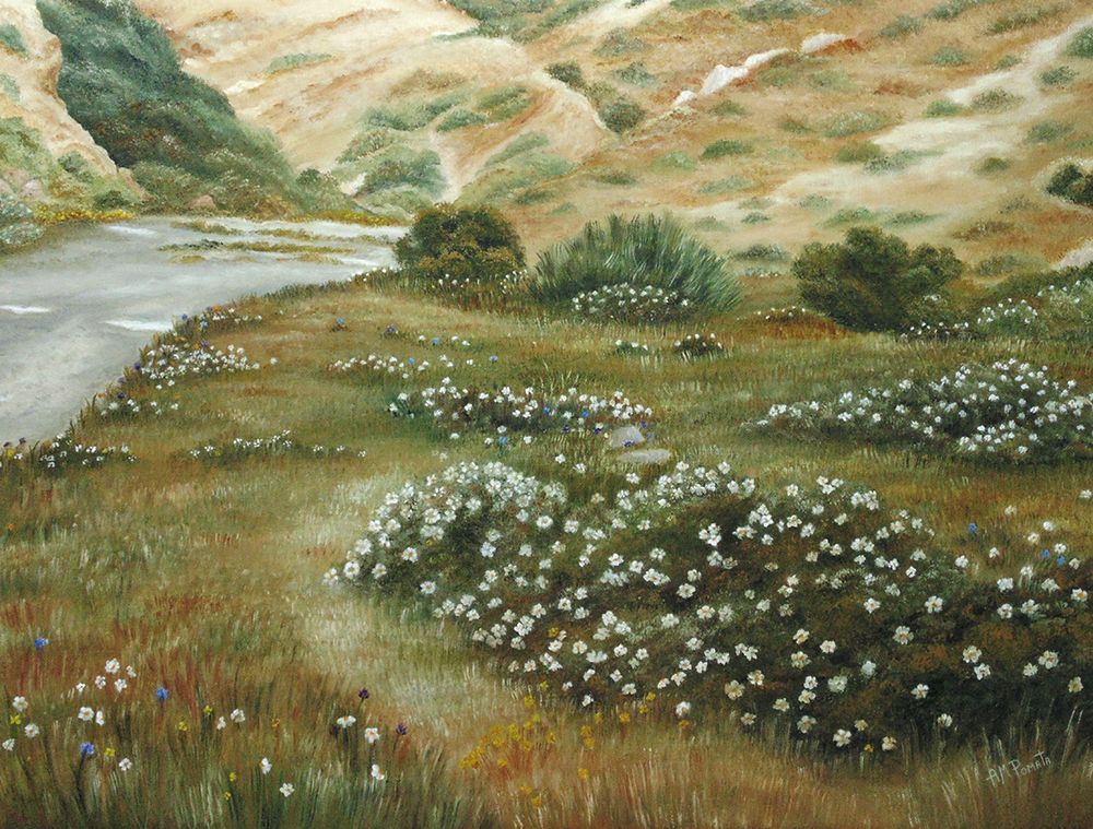 Path of Flowers art print by Angeles M. Pomata for $57.95 CAD