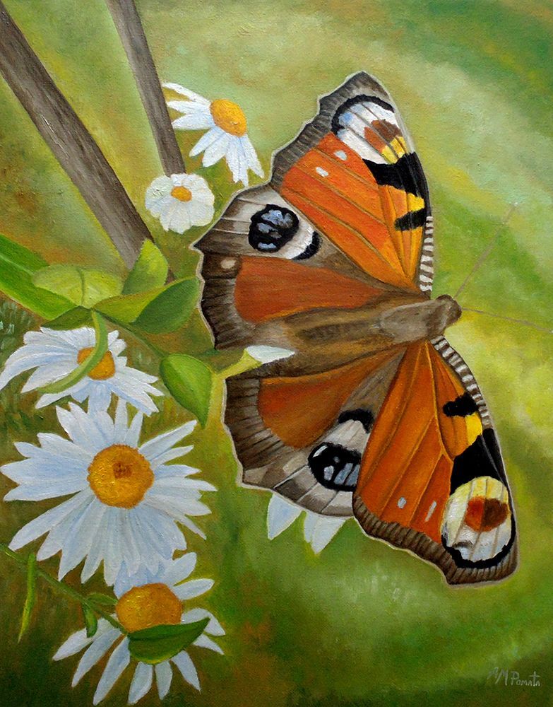 Peacock Butterfly art print by Angeles M. Pomata for $57.95 CAD