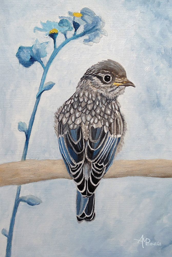 Perked and Perched art print by Angeles M. Pomata for $57.95 CAD