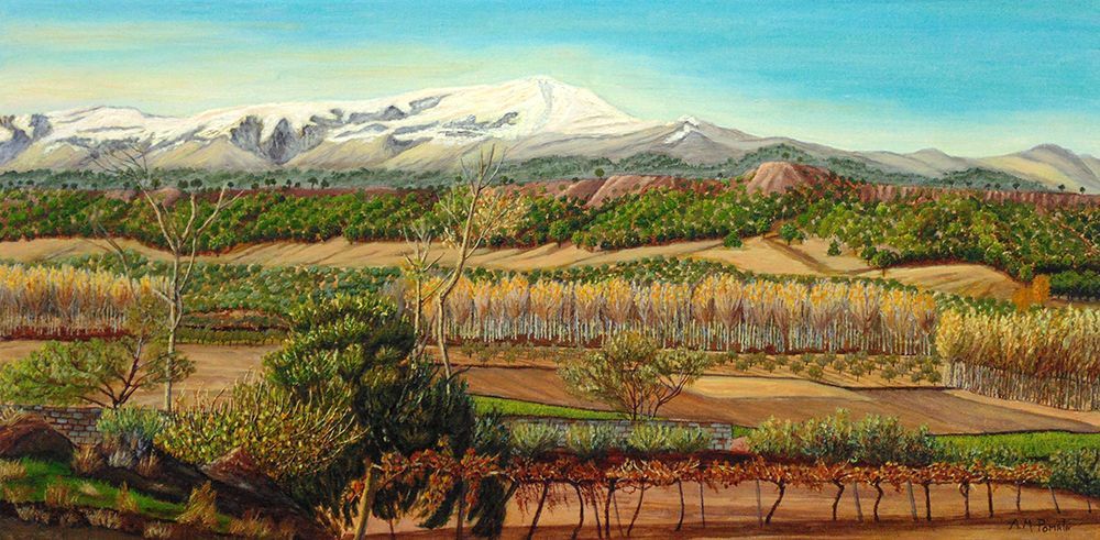 Vineyard Valley In the Sierra Nevada Surroundings art print by Angeles M. Pomata for $57.95 CAD
