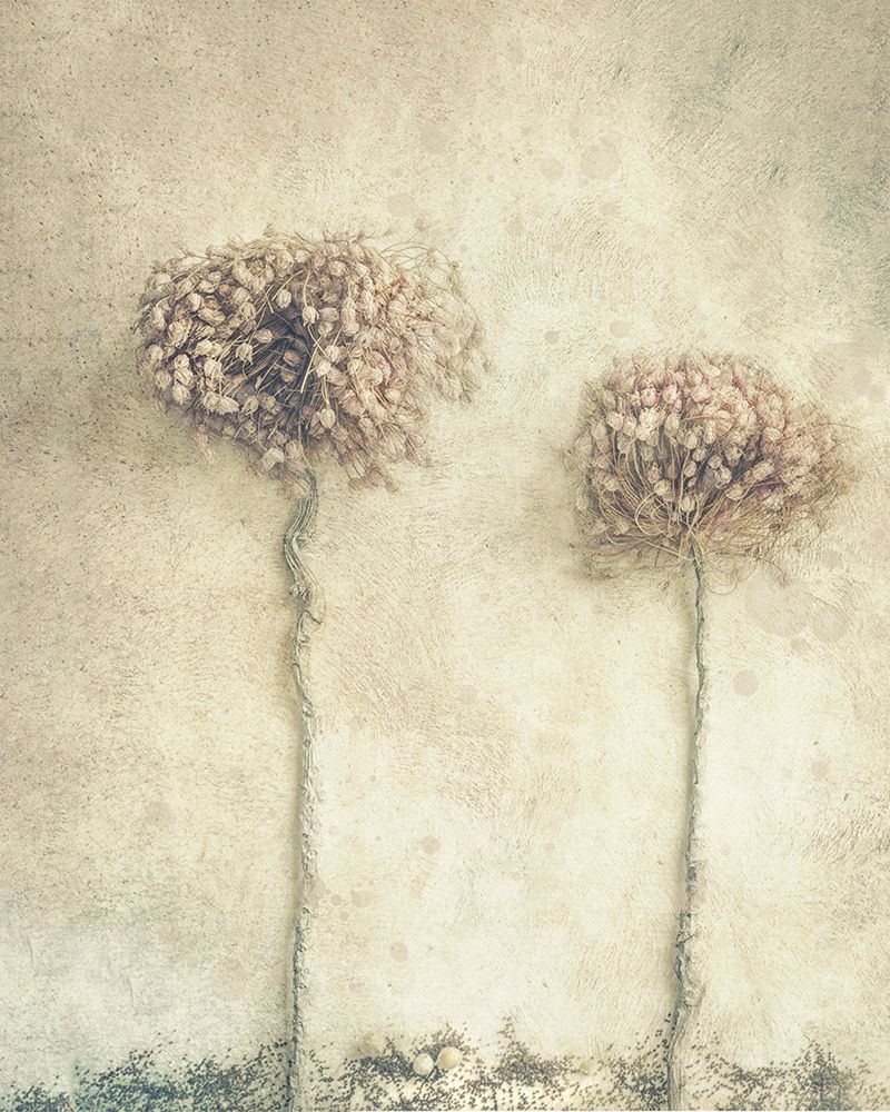 2... art print by Marie-anne Stas for $57.95 CAD