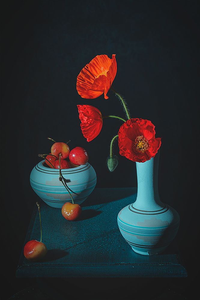 Iceland Poppy A Cherry art print by Lydia Jacobs for $57.95 CAD