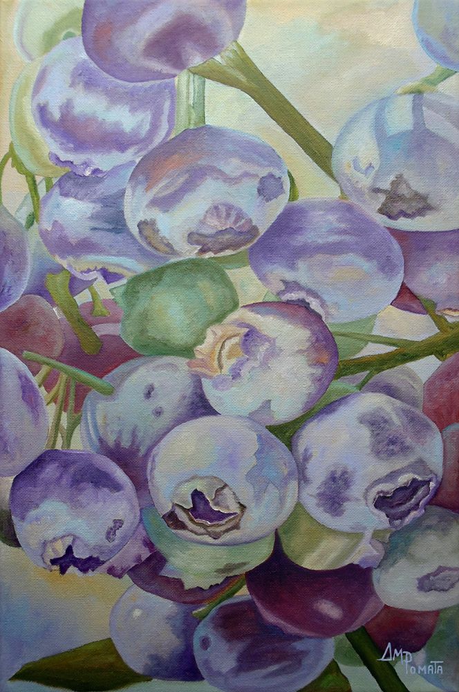 Blueberries art print by Angeles M. Pomata for $57.95 CAD