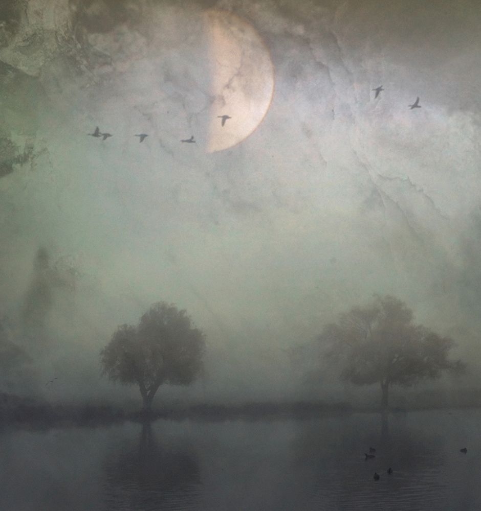 A Strange Day... art print by Robert Fabrowski for $57.95 CAD