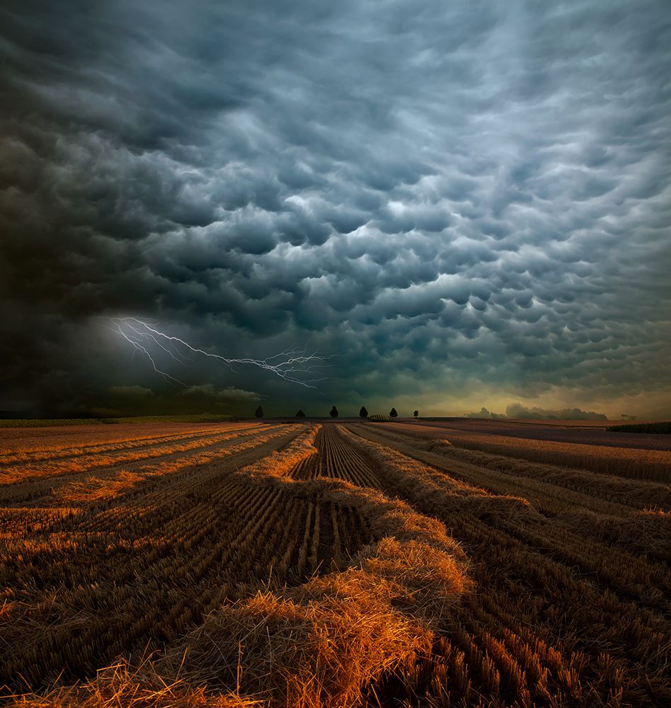 Mammatus art print by Franz Schumacher for $57.95 CAD