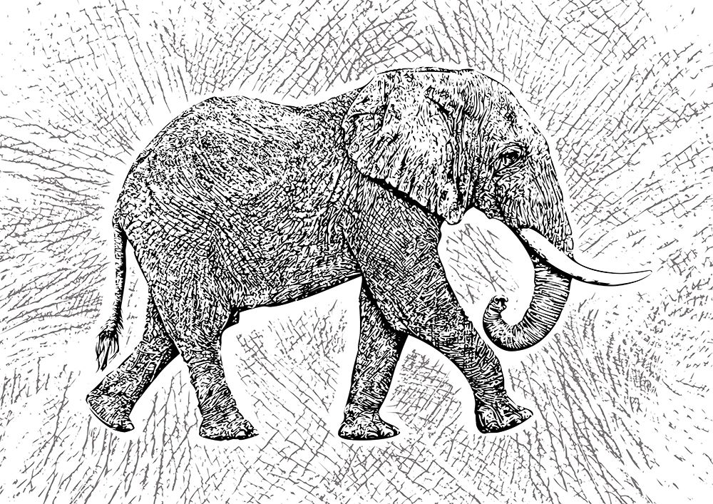Africa Elephant Texture Pattern art print by Carlo Kaminski for $57.95 CAD