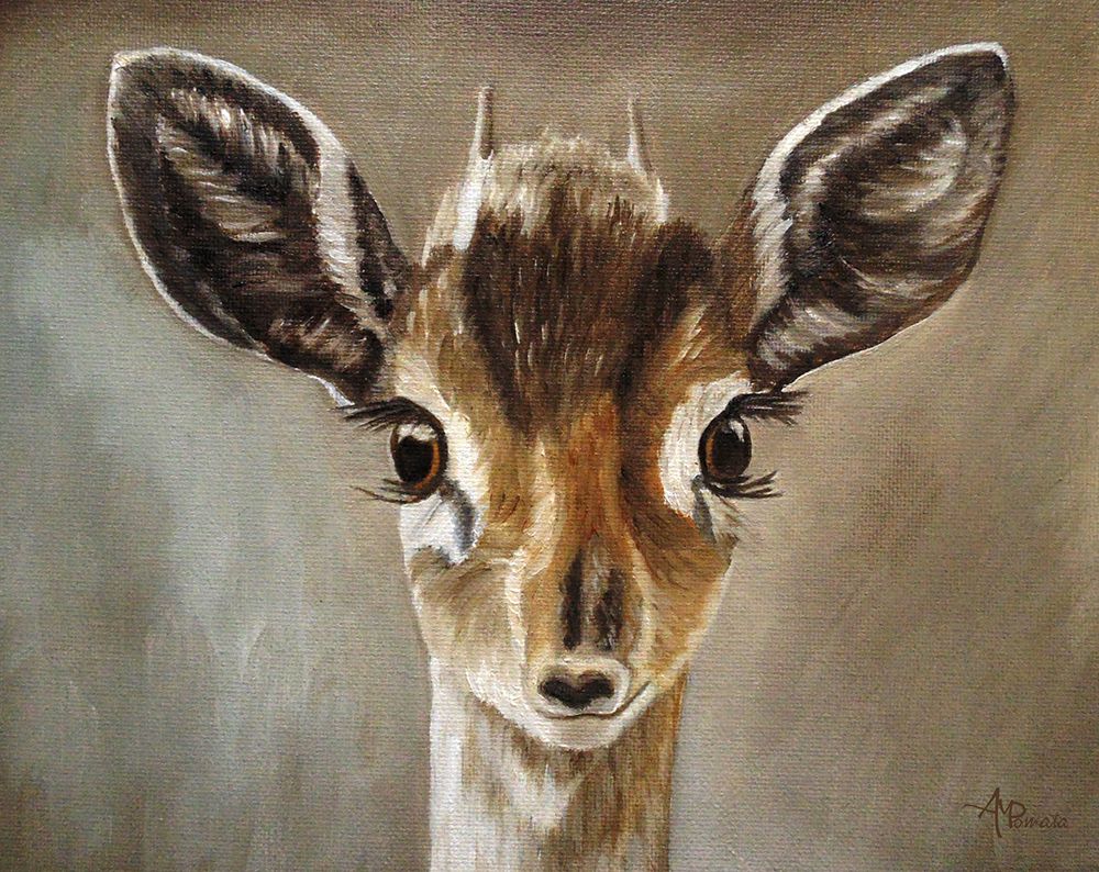 Big Eyes Dik Dik art print by Angeles M. Pomata for $57.95 CAD