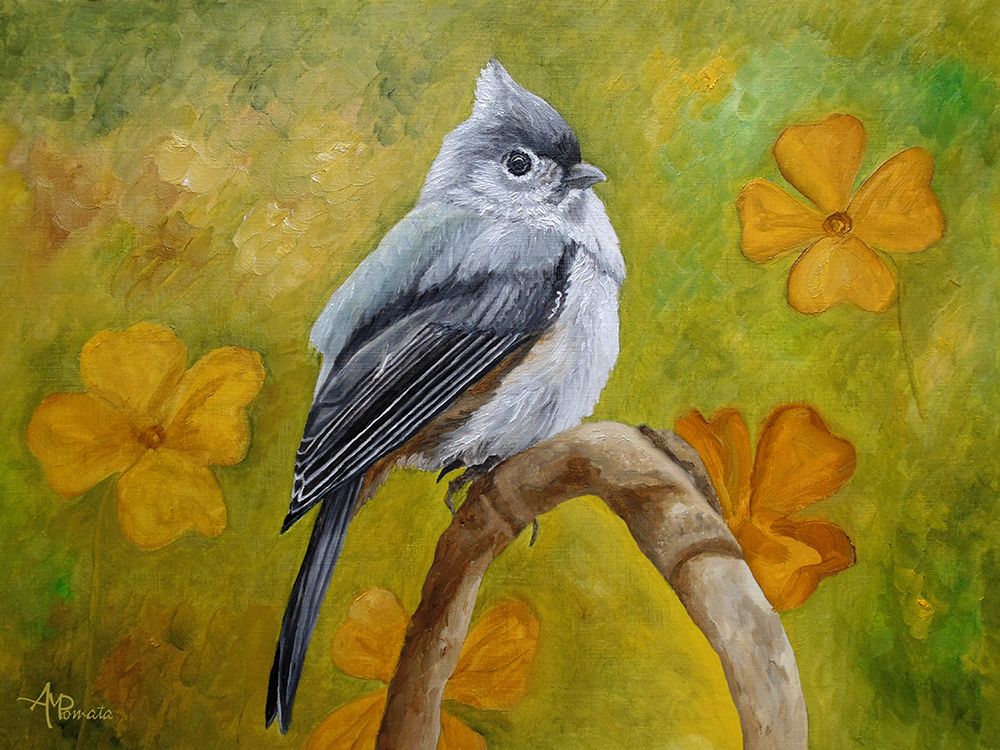 Big Eyed Tufted Titmouse art print by Angeles M. Pomata for $57.95 CAD