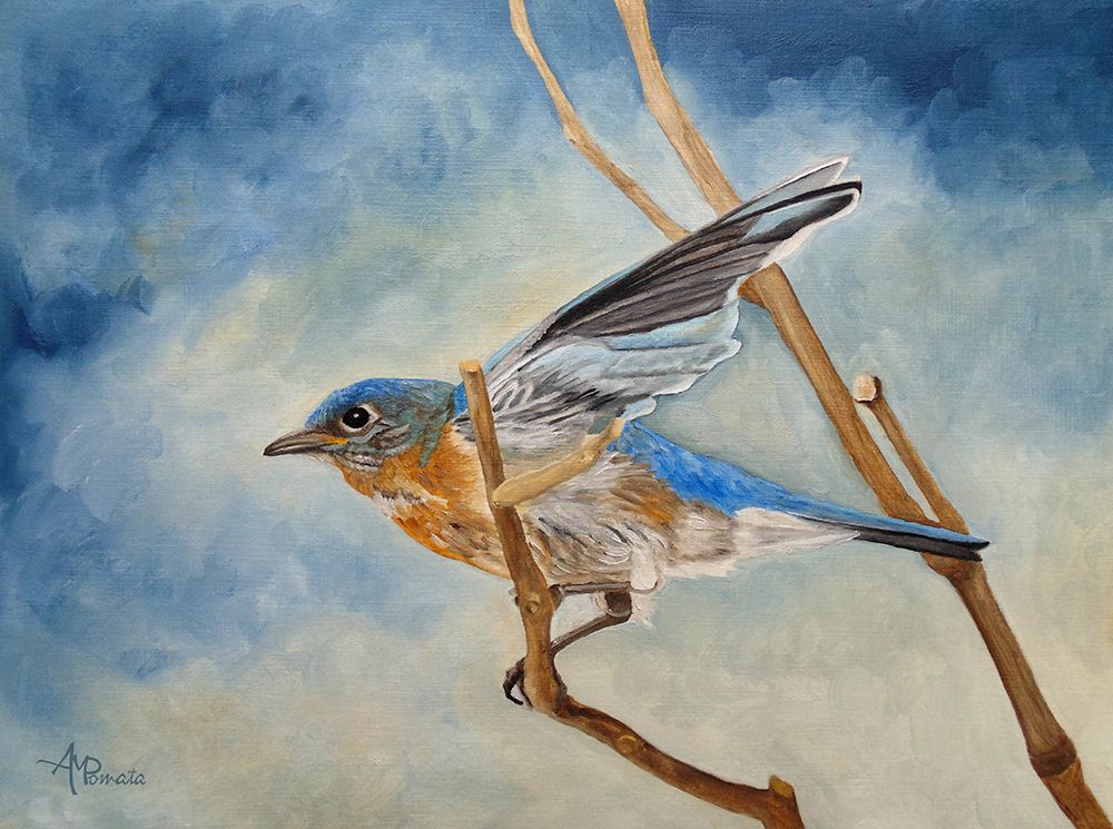 Bluebird, Blue Morning art print by Angeles M. Pomata for $57.95 CAD