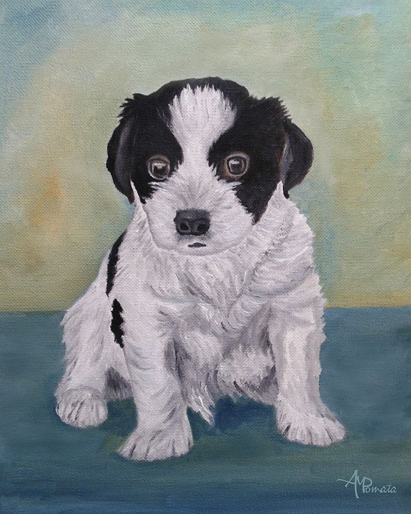 Border Collie Puppy art print by Angeles M. Pomata for $57.95 CAD