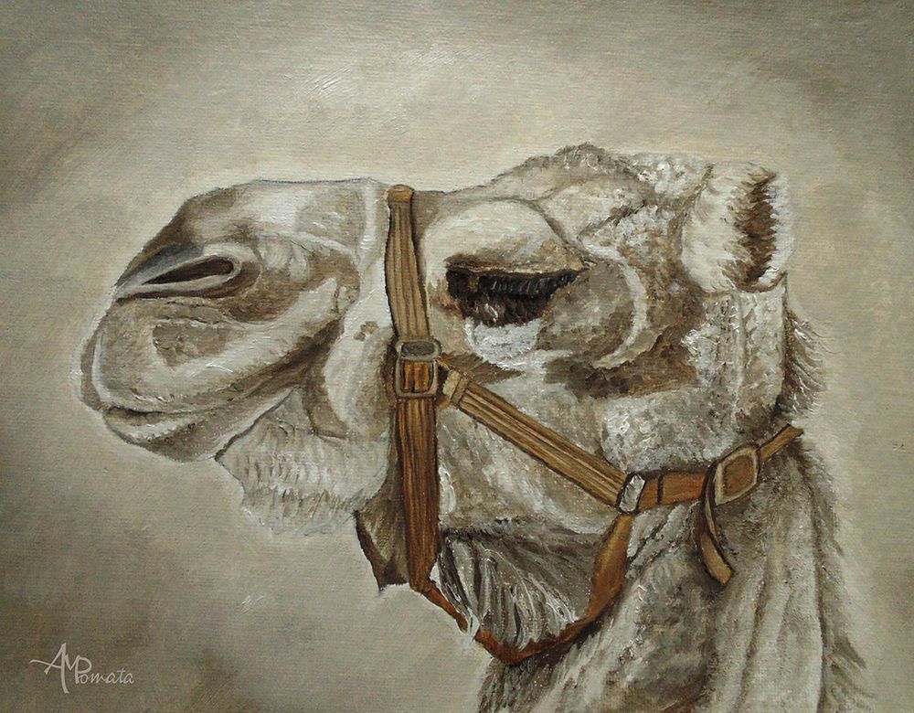 Camel Portrait art print by Angeles M. Pomata for $57.95 CAD