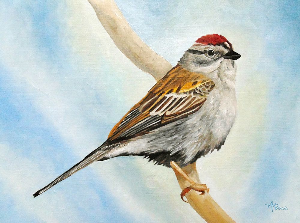 Chiping Sparrow art print by Angeles M. Pomata for $57.95 CAD