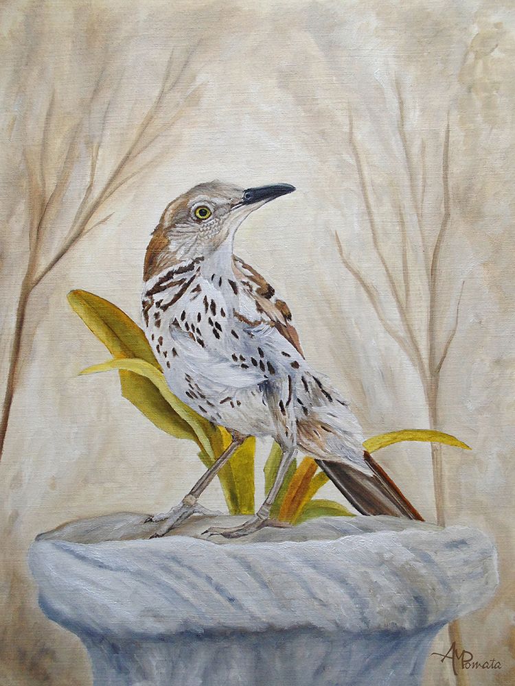 Early Brown Thrasher art print by Angeles M. Pomata for $57.95 CAD