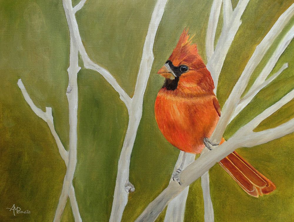 Cutest Ambushed Cardinal art print by Angeles M. Pomata for $57.95 CAD