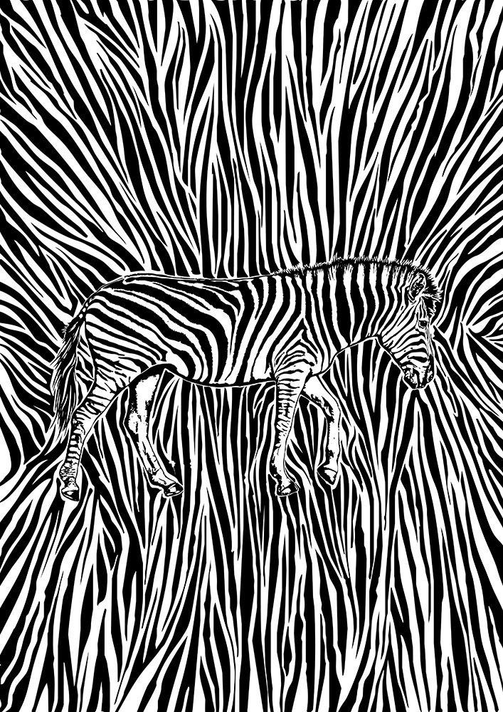 African Zebra Striking Camouflage art print by Carlo Kaminski for $57.95 CAD