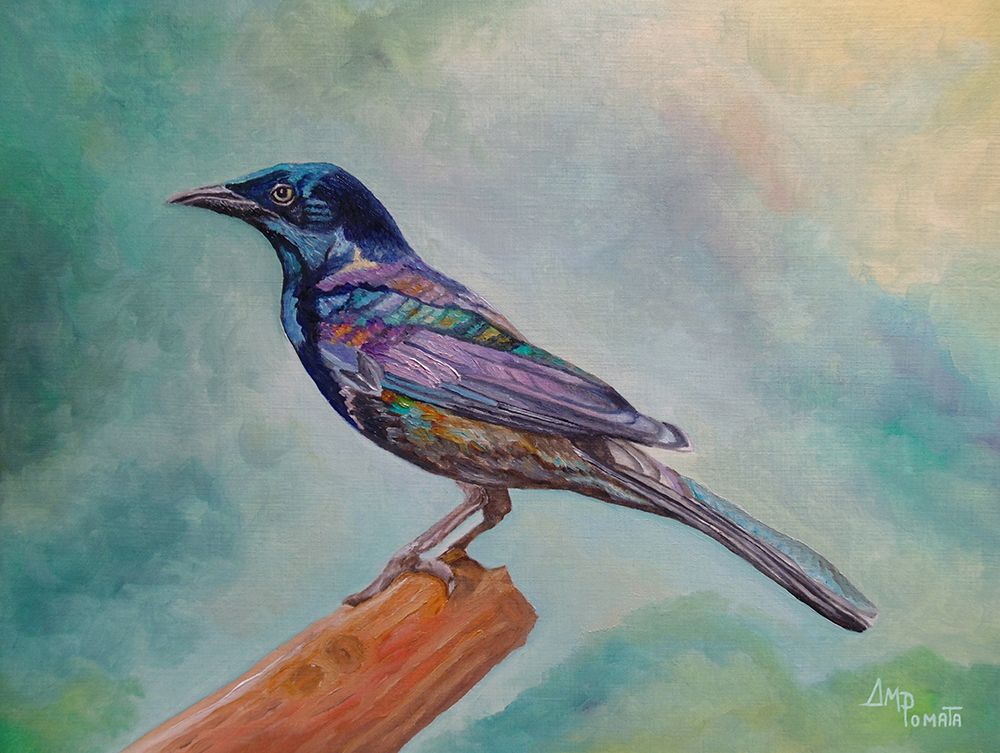 Dressed In Lights Common Grackle art print by Angeles M. Pomata for $57.95 CAD