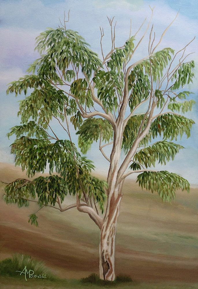 Eukalyptus art print by Angeles M. Pomata for $57.95 CAD