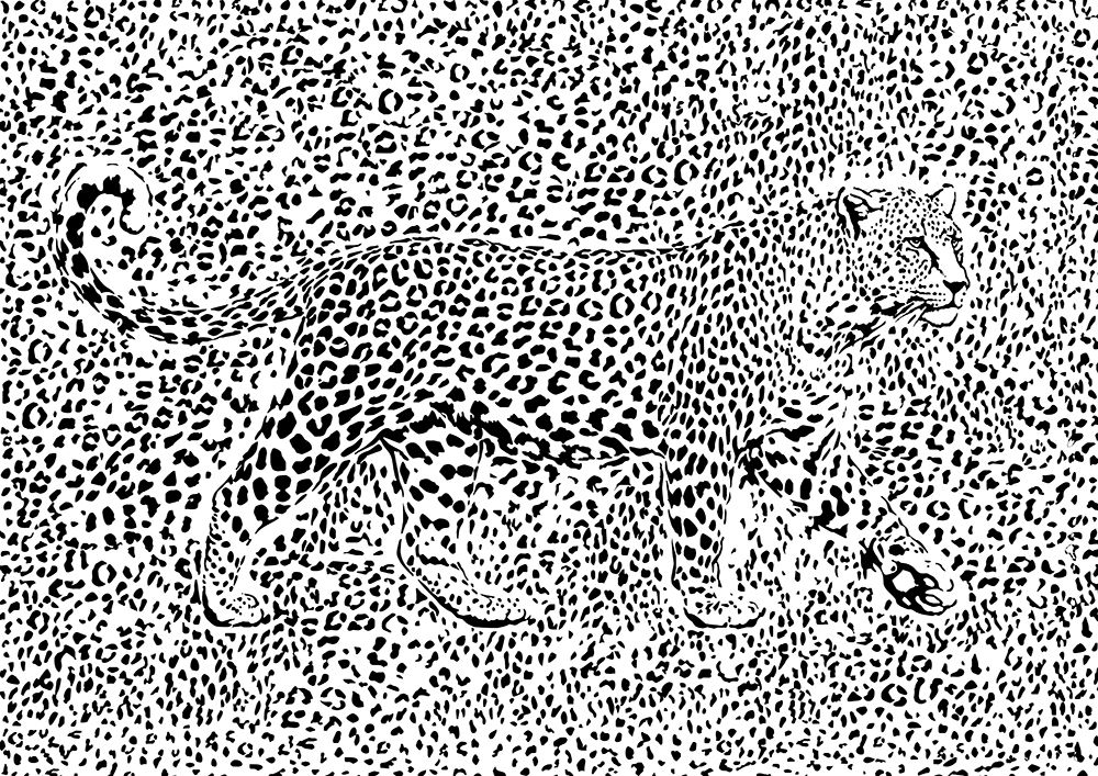 Leopard Rosette Camouflage art print by Carlo Kaminski for $57.95 CAD