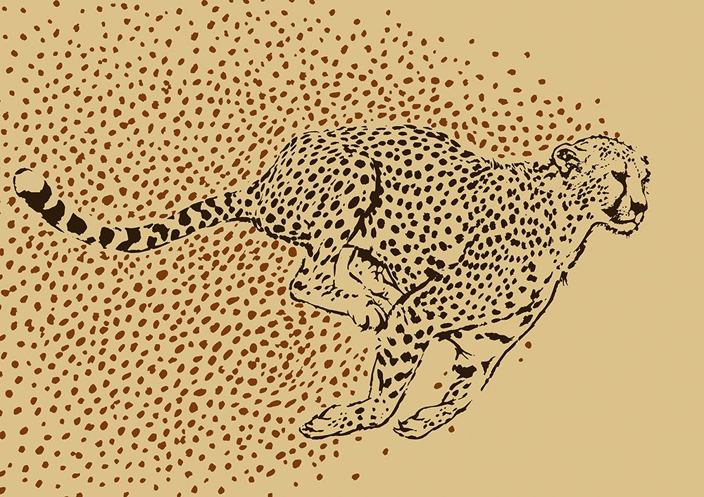 Cheetah Full Sprint art print by Carlo Kaminski for $57.95 CAD