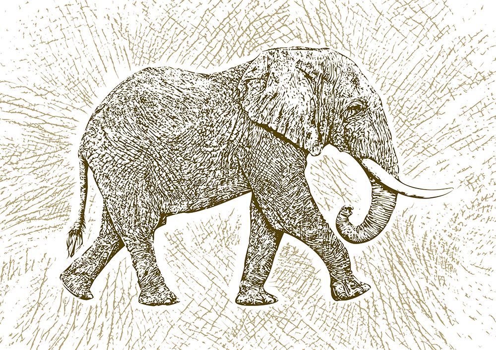 Africa Elephant Texture Pattern art print by Carlo Kaminski for $57.95 CAD