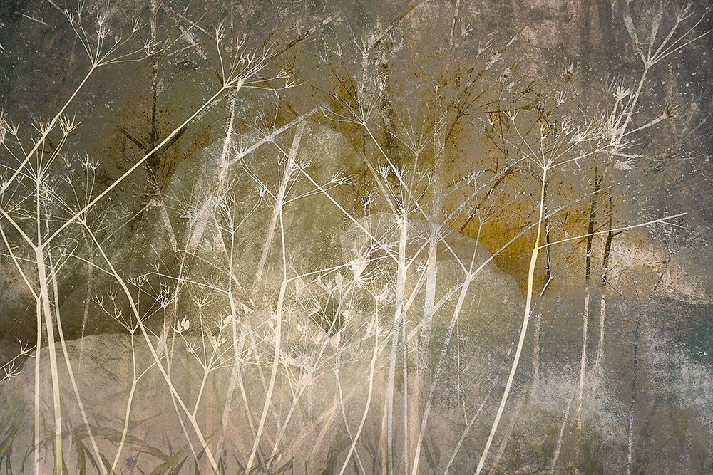 Bloom Over art print by Nel Talen for $57.95 CAD