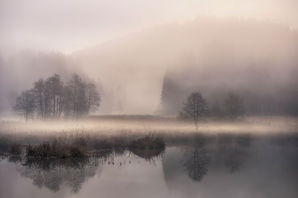 Mystic Morning Ii art print by Nina Pauli for $57.95 CAD