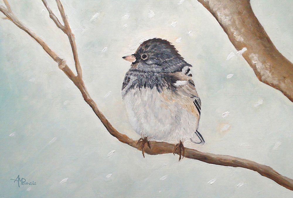 Snowbird In The Blizzard art print by Angeles M. Pomata for $57.95 CAD