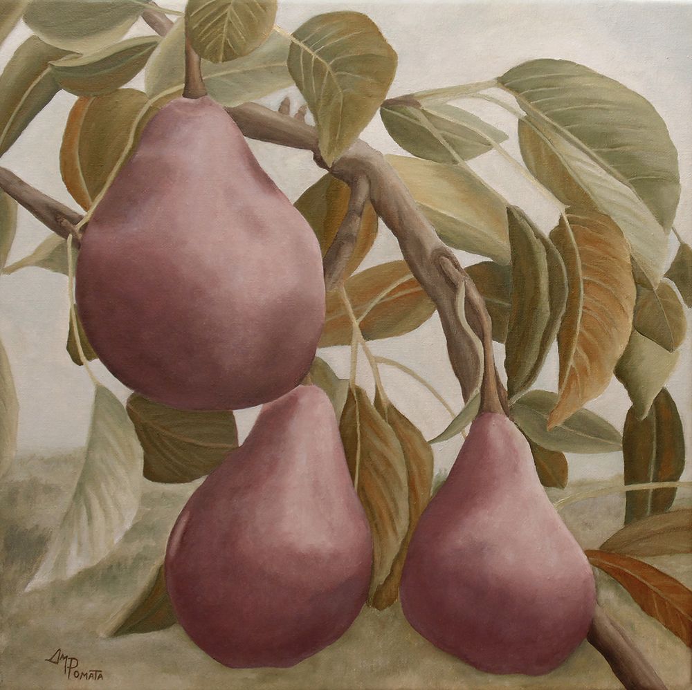 Max Red Bartlett Pears art print by Angeles M. Pomata for $57.95 CAD