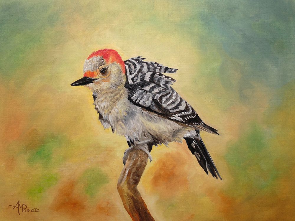 Pretty Woodpecker art print by Angeles M. Pomata for $57.95 CAD