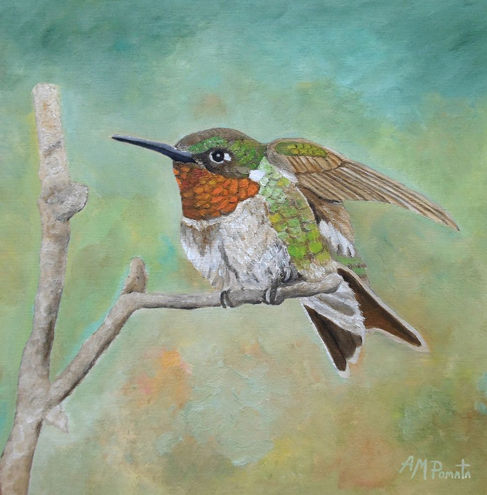 Perched In Place art print by Angeles M. Pomata for $57.95 CAD