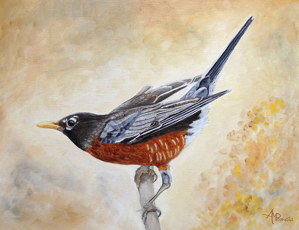 Morning Stretch American Robin art print by Angeles M. Pomata for $57.95 CAD