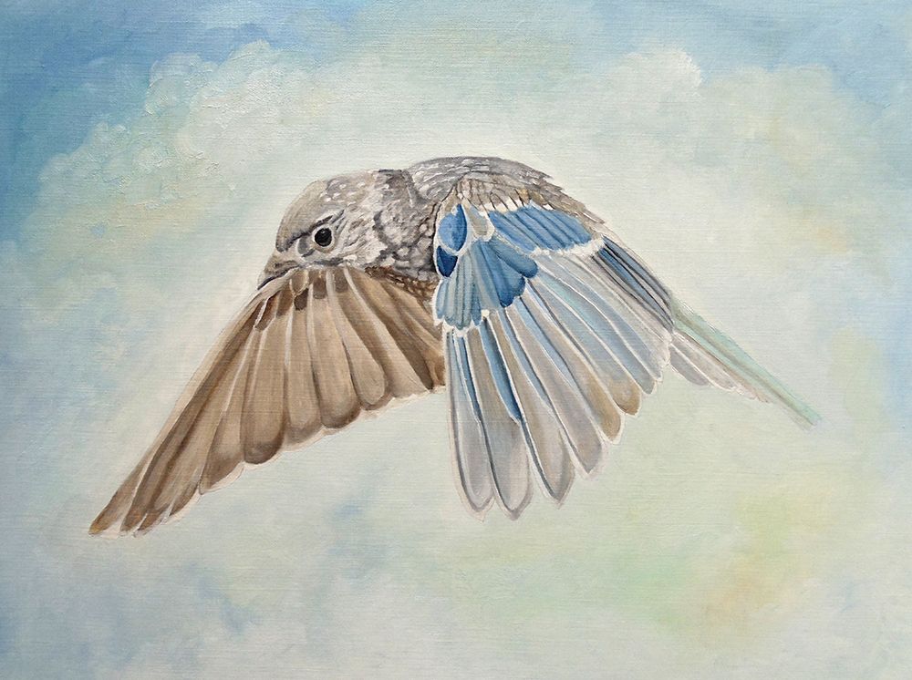 Soaring Quicksilver art print by Angeles M. Pomata for $57.95 CAD