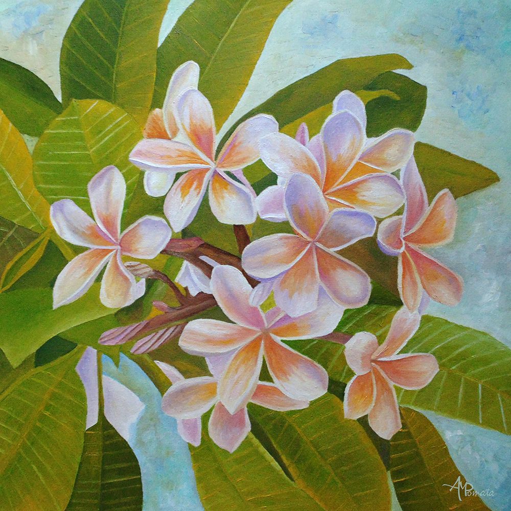 Plumeria art print by Angeles M. Pomata for $57.95 CAD