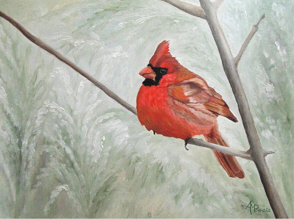 Winter Cardinal art print by Angeles M. Pomata for $57.95 CAD