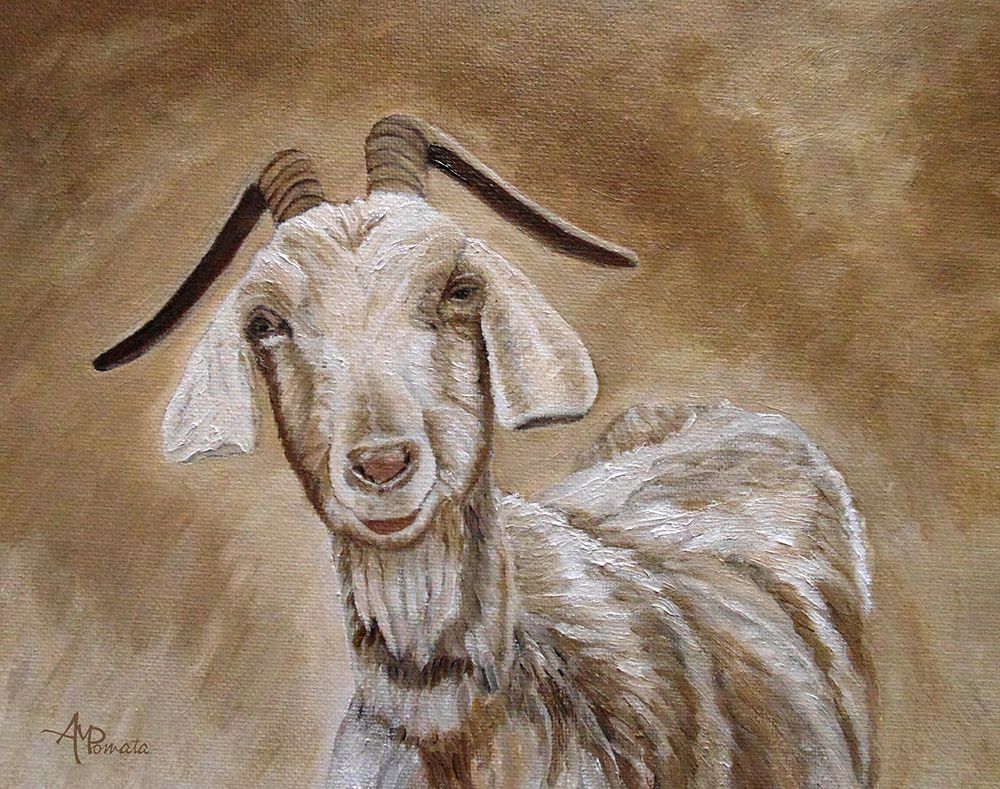 The Smile Of A Goat art print by Angeles M. Pomata for $57.95 CAD
