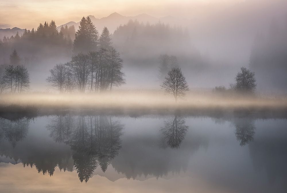 Mystic Morning Iii art print by Nina Pauli for $57.95 CAD
