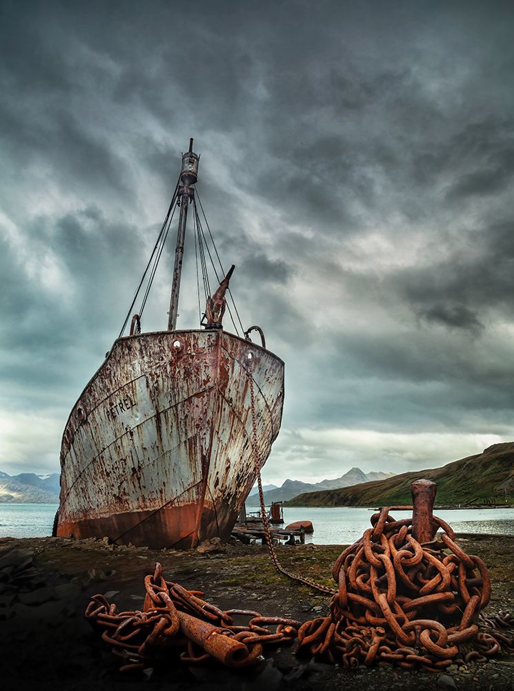 The History Of Whaling art print by Jie Jin for $57.95 CAD