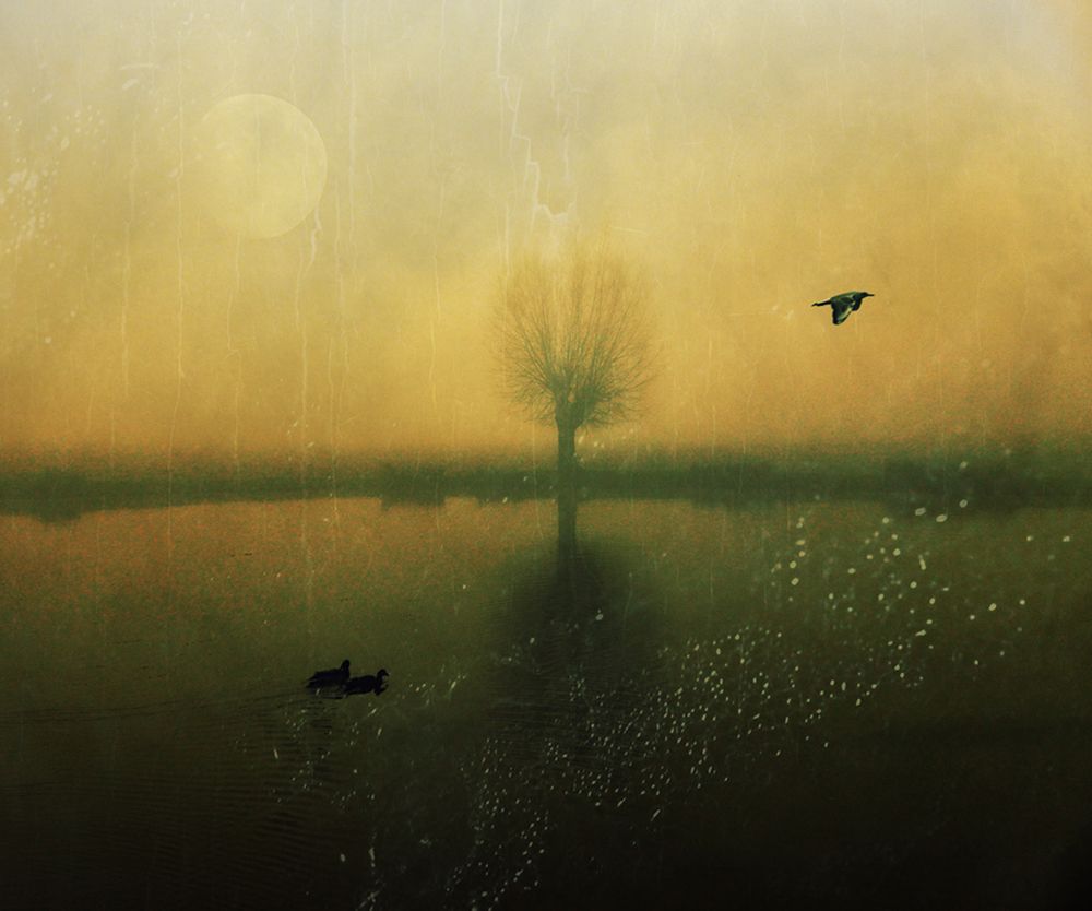 Some Time After... art print by Robert Fabrowski for $57.95 CAD