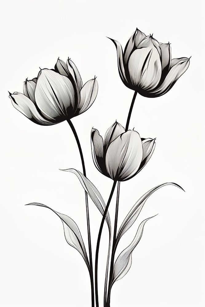 Black Tulips art print by Bilge Paksoylu for $57.95 CAD