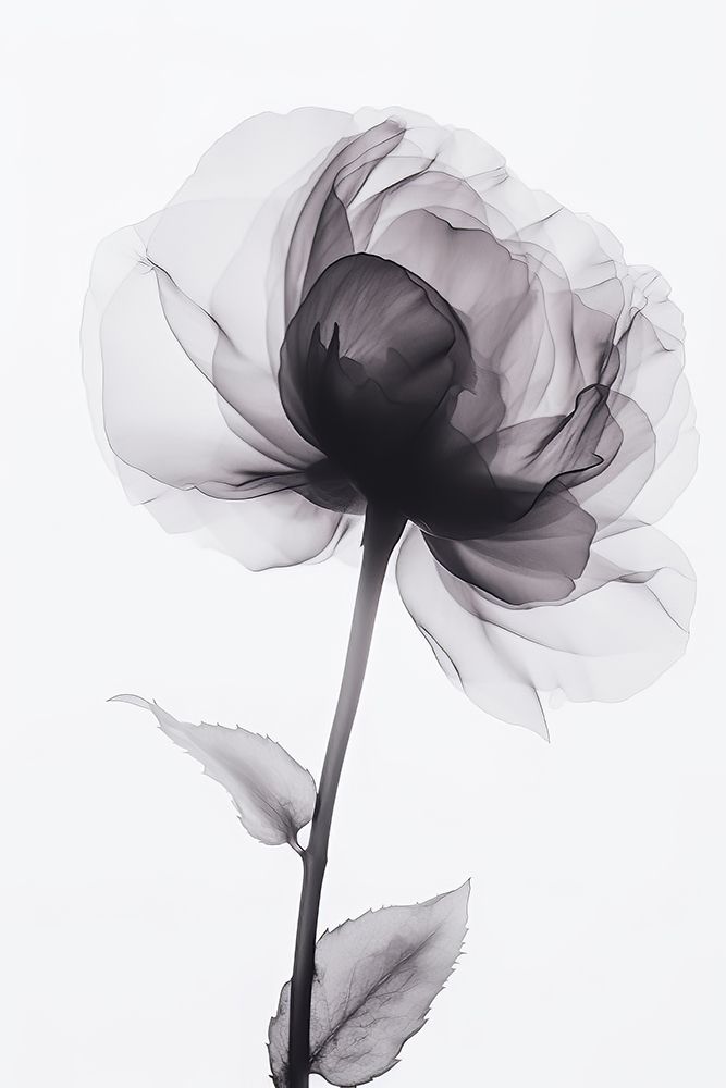 X Ray 2 art print by Bilge Paksoylu for $57.95 CAD