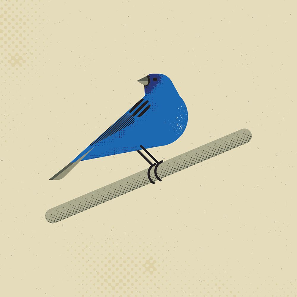 Indigo Bunting art print by Vision Grasp Art for $57.95 CAD