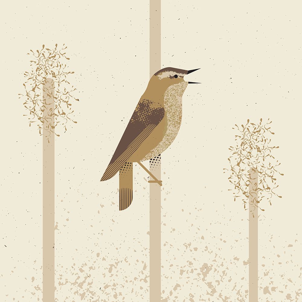 Sedge Warbler art print by Vision Grasp Art for $57.95 CAD