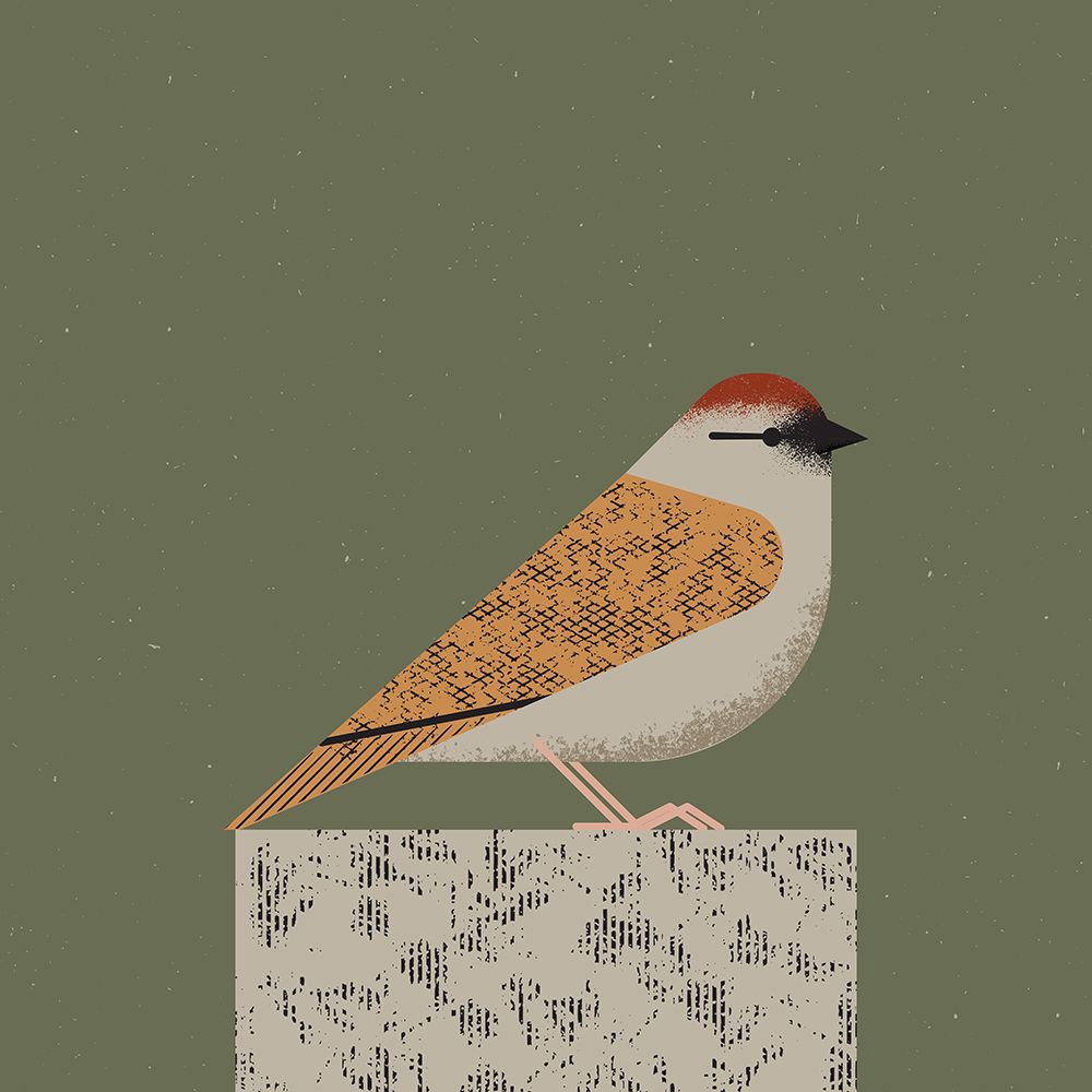 Sparrow art print by Vision Grasp Art for $57.95 CAD