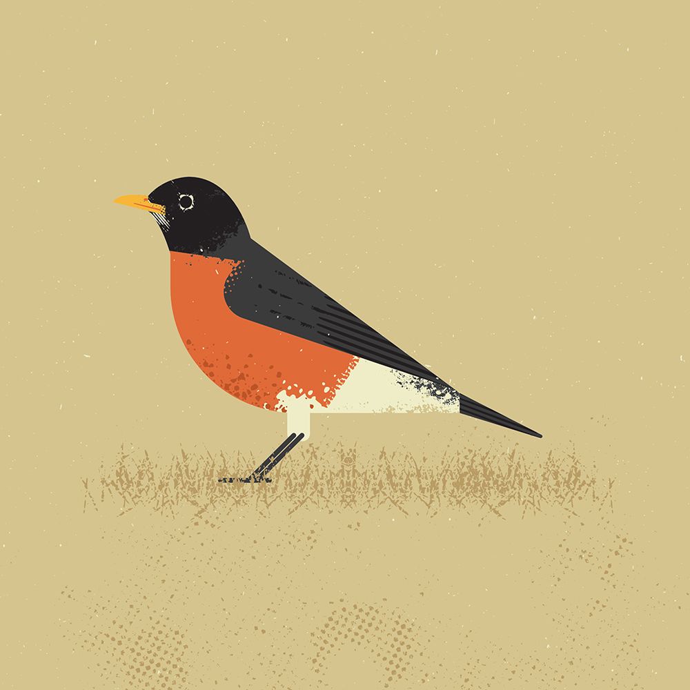 American Robin art print by Vision Grasp Art for $57.95 CAD